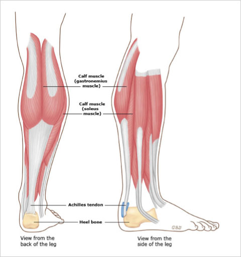 pain between heel and calf
